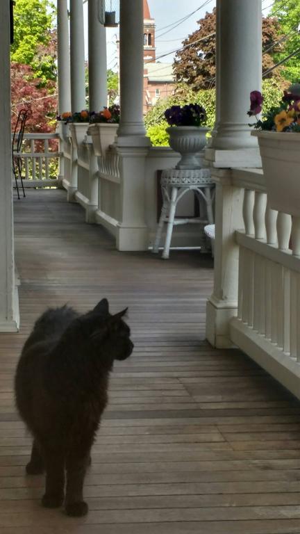 The Sleigh Maker Inn Bed And Breakfast ウェストボロー エクステリア 写真